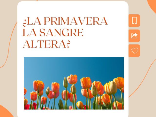 🌸 Como la primavera, la sangre altera: ¿Por qué nos sentimos más cansados, nerviosos y dormimos peor?
